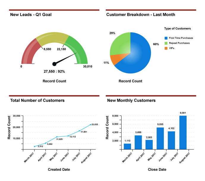 Salesforce Dummy Data Dashboard