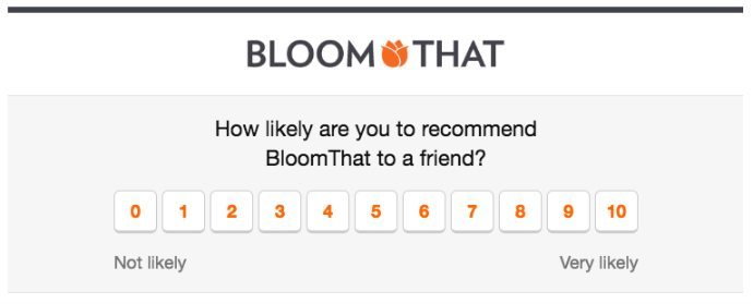 BloomThat NPS email