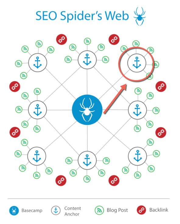 SEO spider web