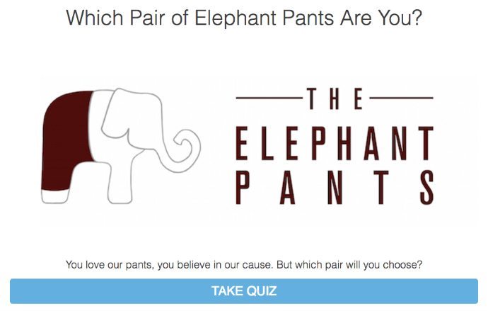 Elephant pants